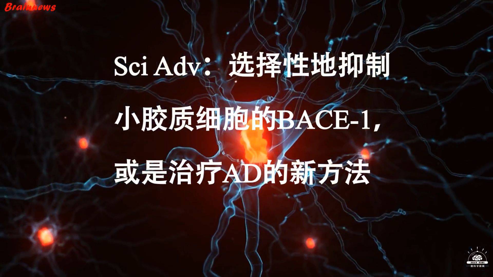 【前沿快讯】选择性地抑制小胶质细胞的BACE-1