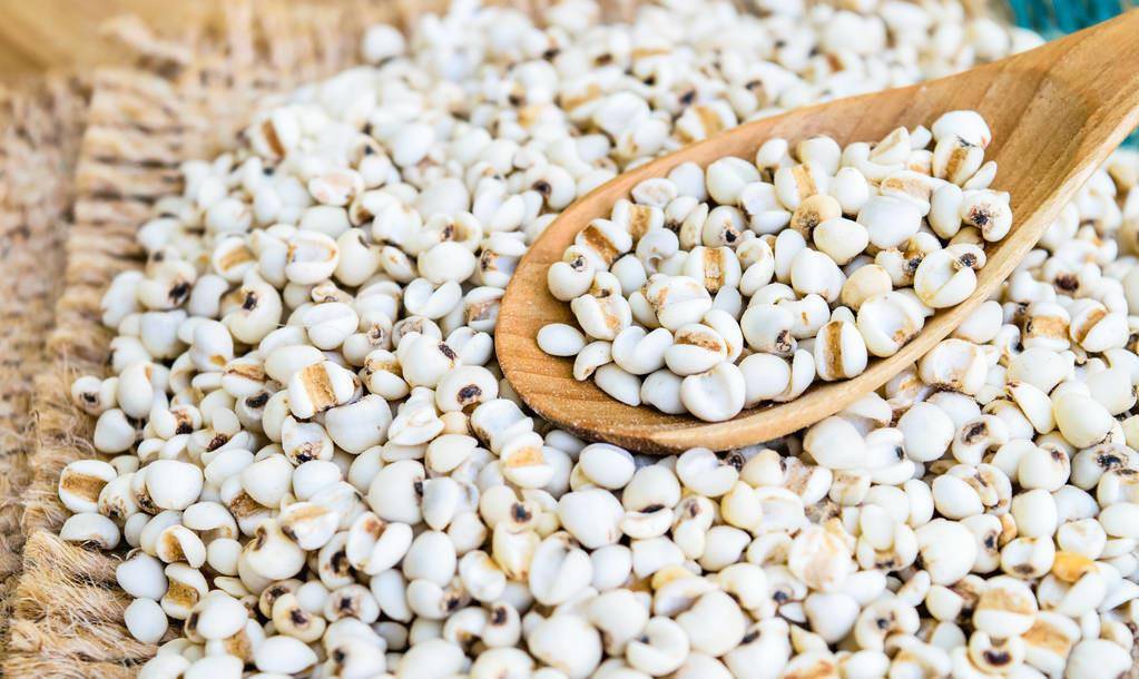 来自中国薏米之乡,细,小,粉,碎的宁化淮土薏仁,舀起来会拉丝_种植