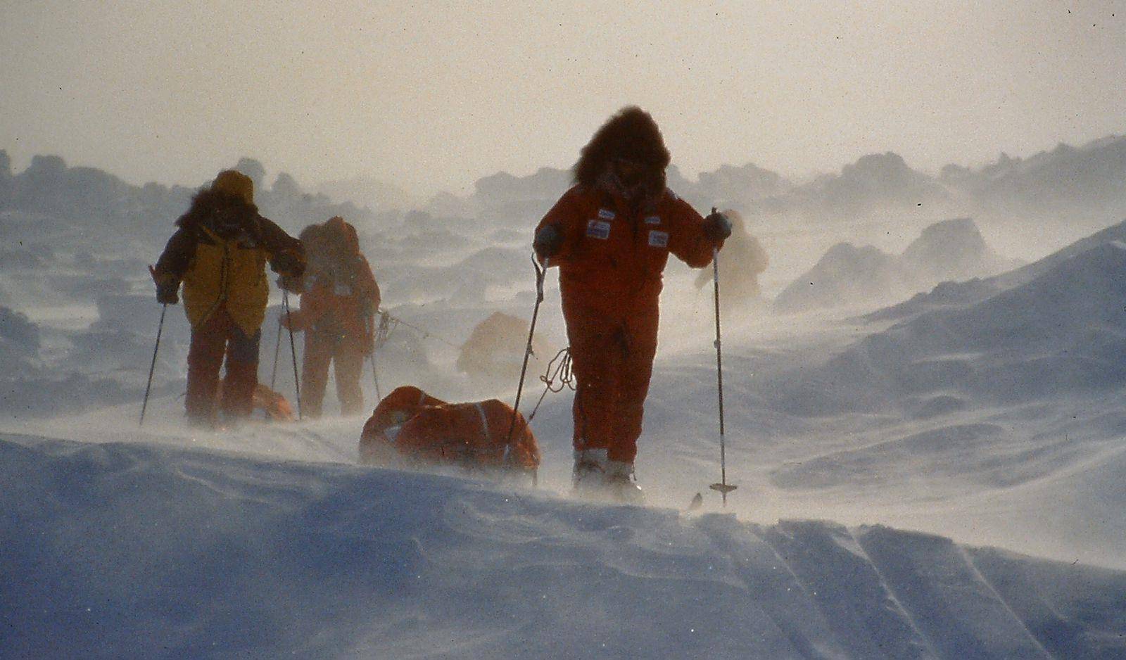 南极冷还是北极冷?_大陆_地方_暴风雪