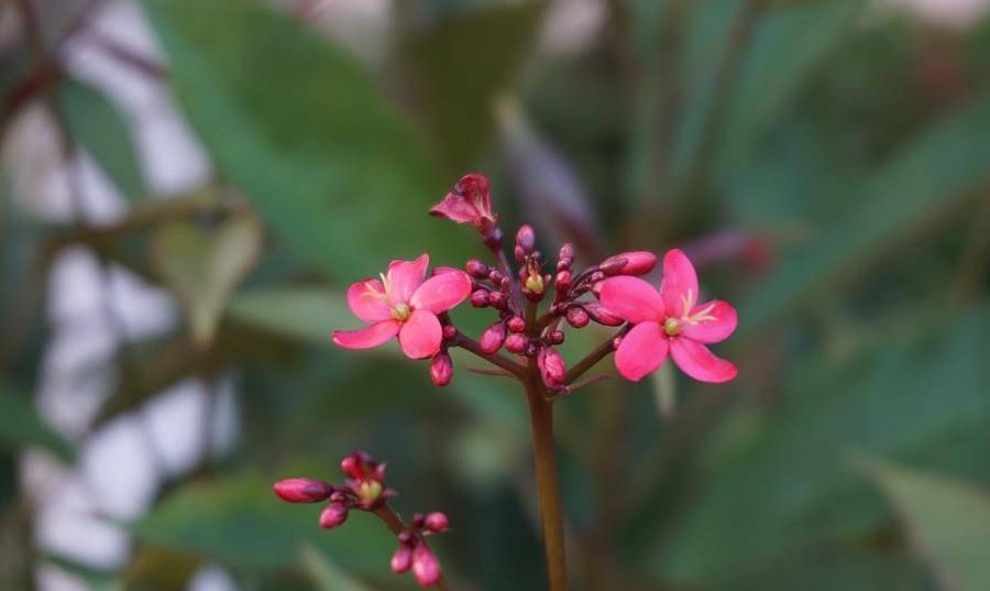 6月28日星座日运 白羊运势不赖 天蝎稳步向上 处女座四平八稳 生活 建议 方面