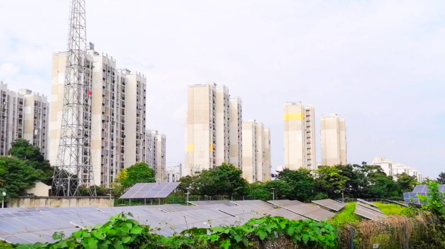 由于花城家园是最近几年建设而成,又因为其地处新城区的森林大道北线