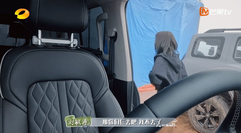 刘敏涛又闹情绪,观众的评论出奇一致