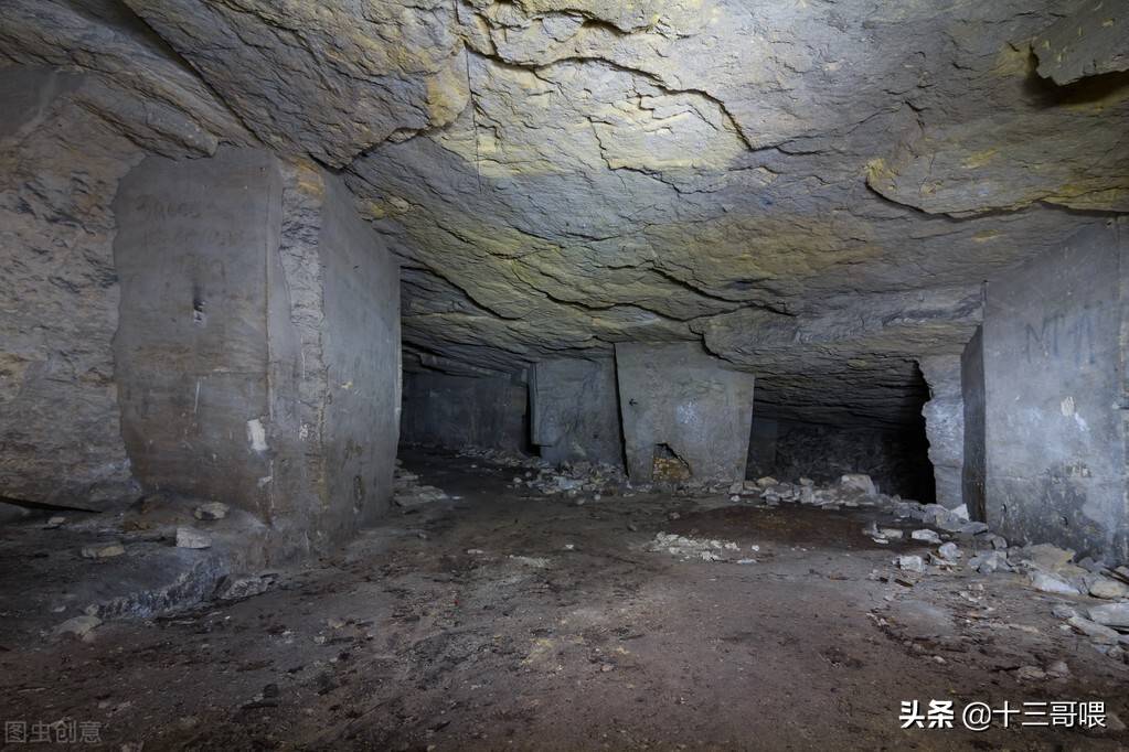 原创陕西大蛇护古墓是真的吗其实在墓穴里发现几条蛇一点也不稀奇