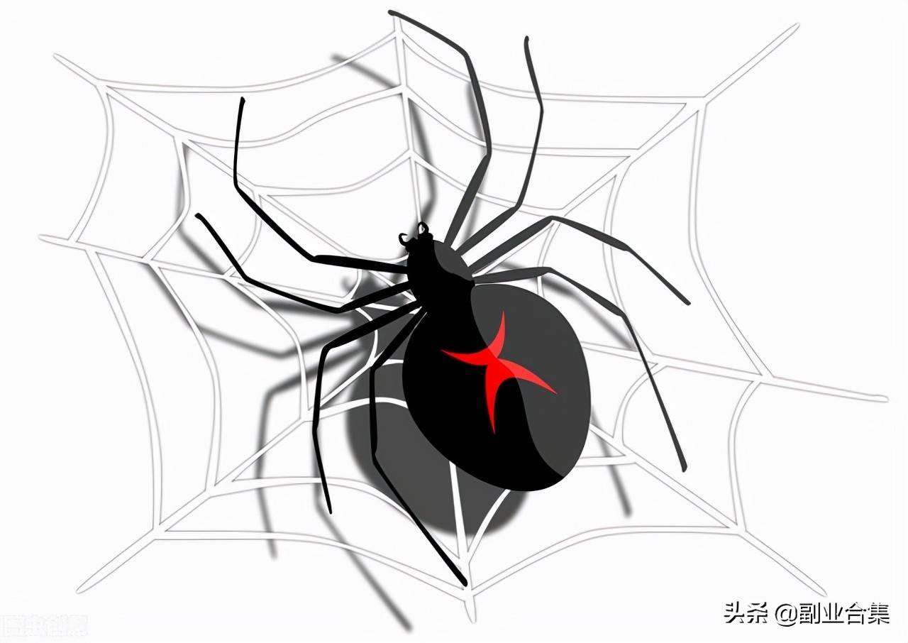 世间生物雌雄的区别_世间生物雌雄_世界上雌雄