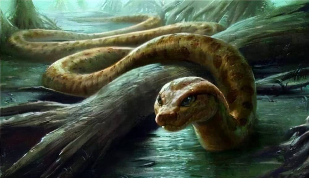 泰坦巨蟒:后辈不争气,威风不及当年啊!