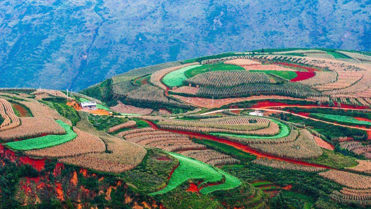 中国东川红地:云南的天然杰作,少有游客知道的地方_红土地_田野_颜色