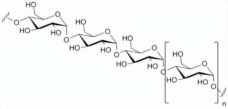 结构以α-1,3-甘露聚糖为主链,侧链接有β-d-木糖与β-d-葡萄糖醛酸