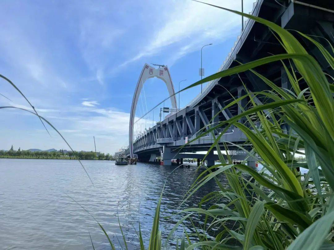 横跨姚江宁波邵家渡大桥即将开建!土建施工招标启动了!