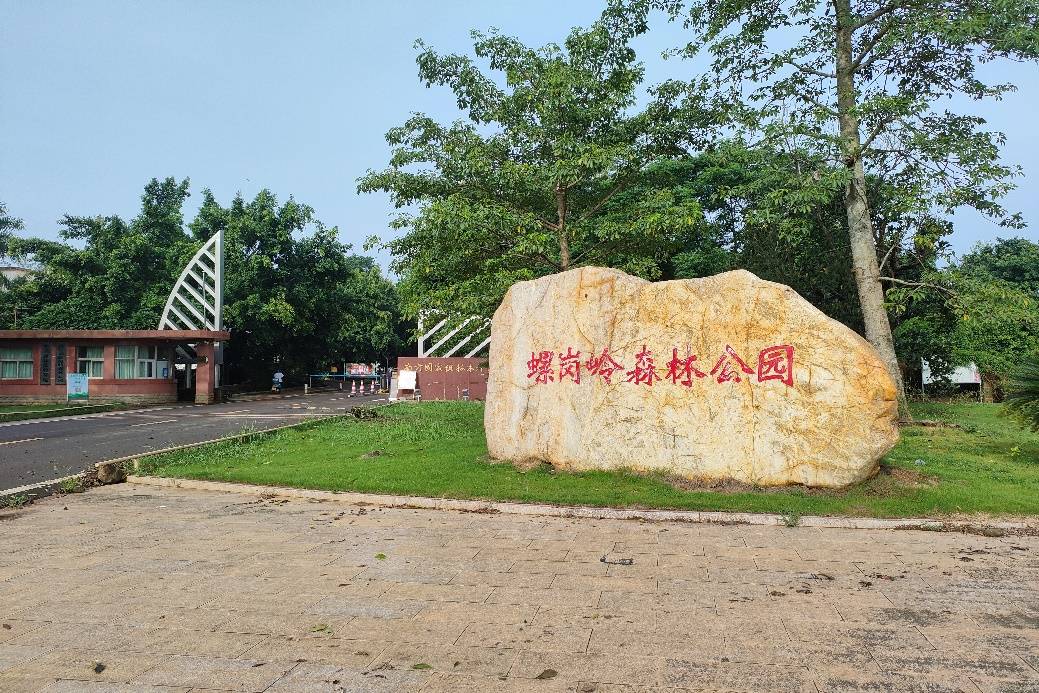 望·启航"社会实践队专门前往湛江市遂溪螺岗岭森林公园开展调研活动