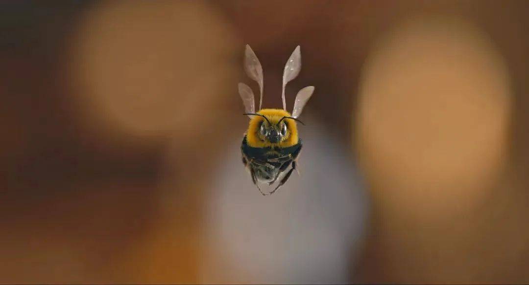 你都67岁了,还这么演,我真笑不出来_一只小蜜蜂_豪宅_办法