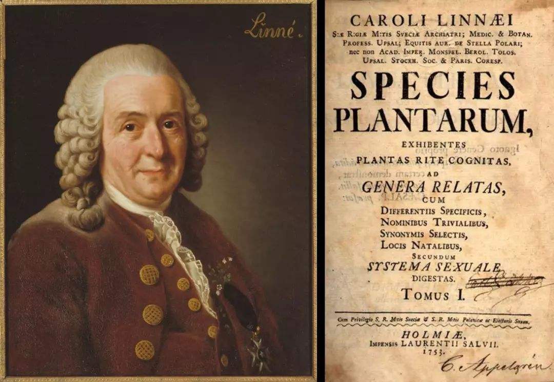 林奈到了1735年时,瑞典的生物学家林奈在自己的书目《自然系统》当中