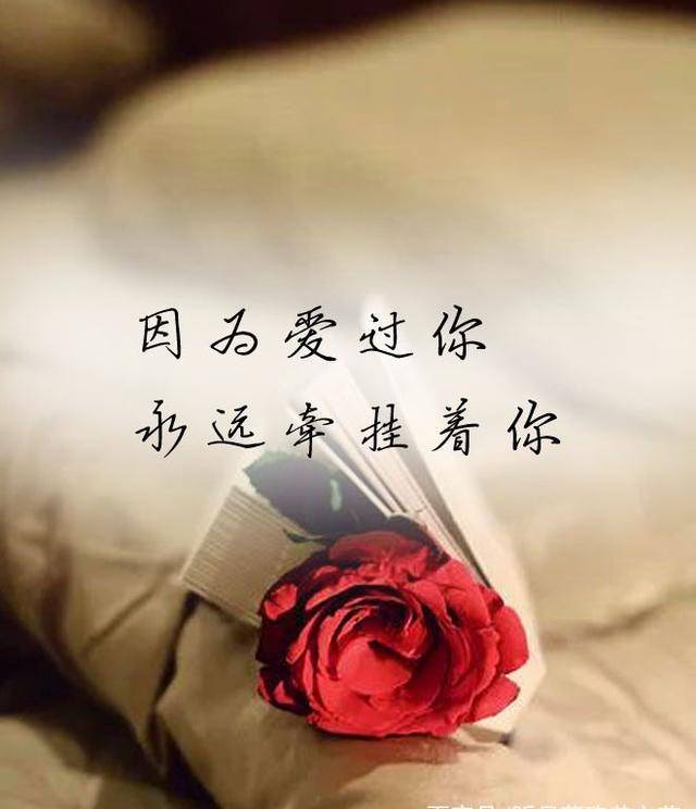 因为爱过你,永远牵挂着你_一个人_莫再_眼泪