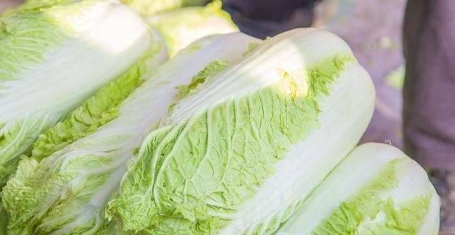 炒大白菜不能放此物 是自讨苦吃 医生从不碰 你却吃的不亦乐乎 人体 的作用 兔肉
