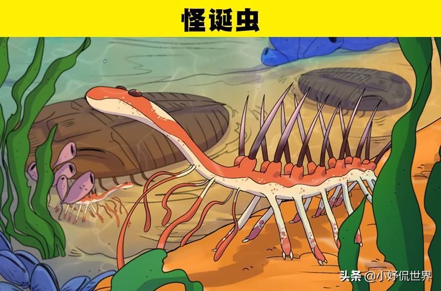 原创在人类之前地球上生存着的8大奇怪的古生物