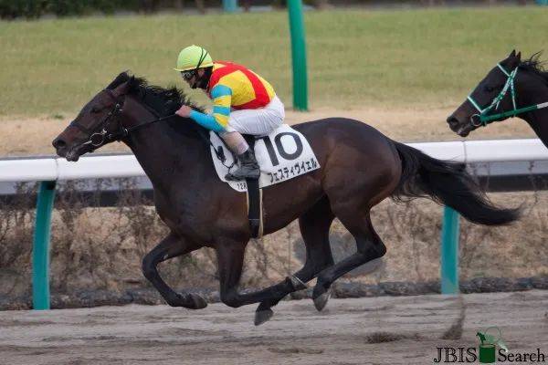 年世界全明星骑师挑战赛次关 2000米 冠军2015年东京赛马场调布特别赛
