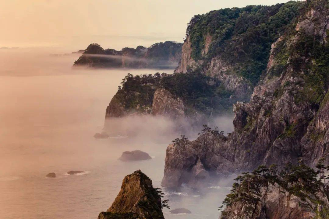 深耕家电的涂鸦智能股价跌去近九成,智能家电市场很低迷-家电圈官网