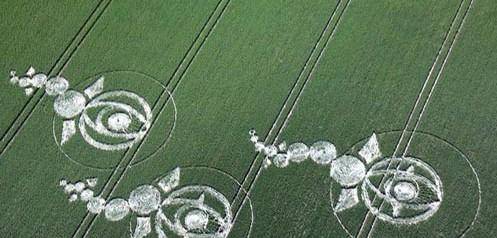 麦田怪圈是谁制造的 科学家苦守半个月 终于发现线索 英国 人类 进行