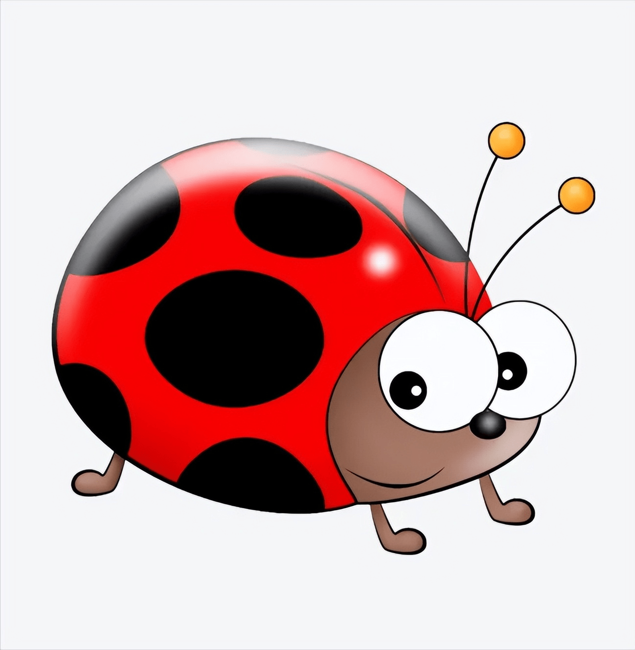 让人又爱又恨的七星瓢虫我管它叫胖小你们叫什么呢