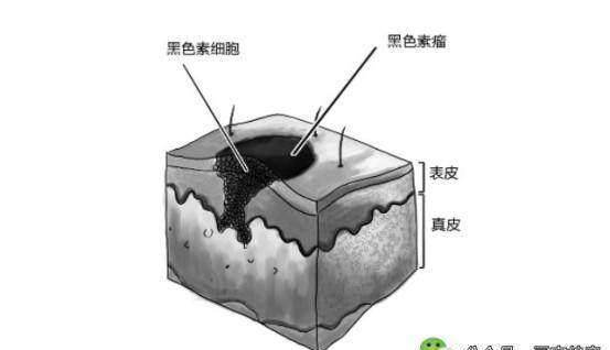 看了就知道·今天 08:58厦门大学附属第一医院池晓蓉医生为何被广大