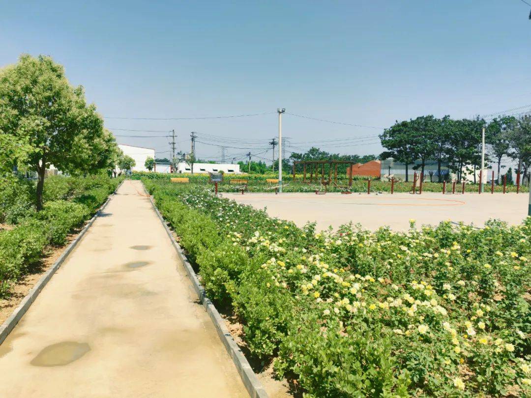 巩义市北山口镇东风村扮靓美丽新家园按下乡村美颜键