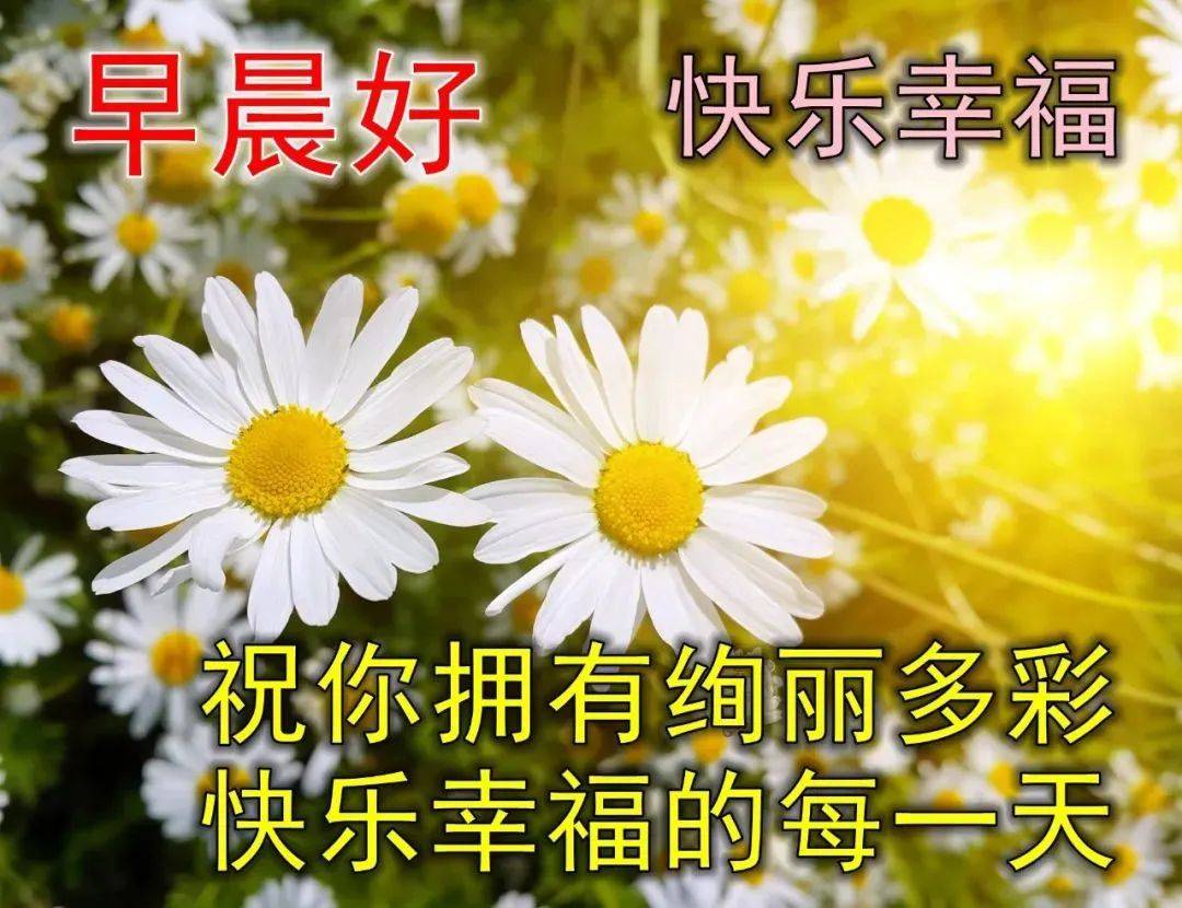 9張最新特漂亮早上好鮮花動畫圖片帶祝福語 2022最美早安問候祝福圖片