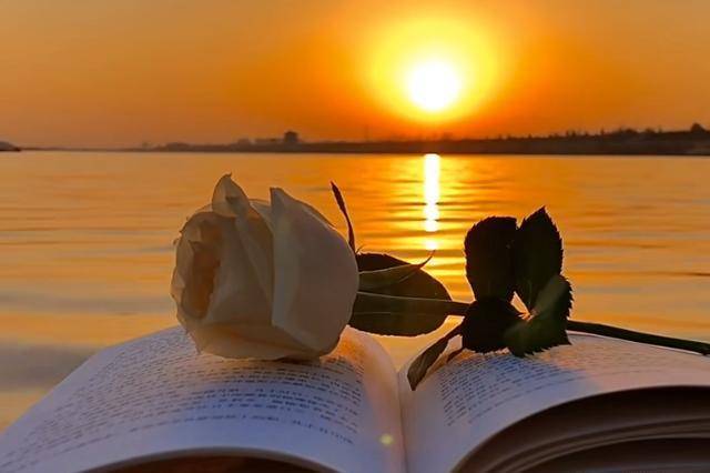 无论你走了多久,都是心里最爱的人;生命不息,此情不断_依恋_真爱_唯美