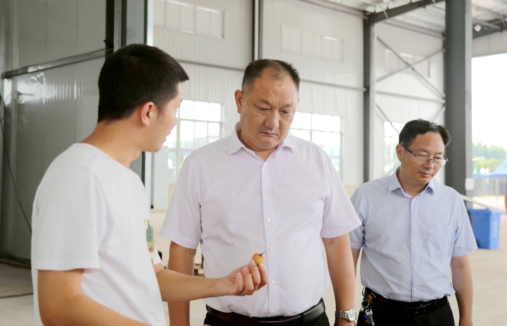 合江县委书记李仁军调研合江荔枝销售情况