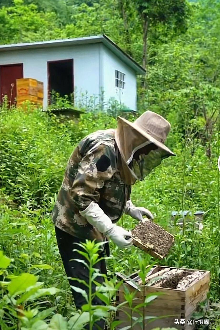 周正龙15年前拍虎成笑话,出来后隐居原始森林,看活
