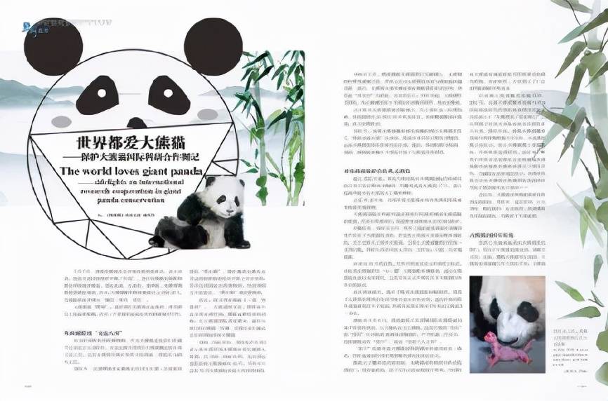 大熊猫 国际科研合作_大熊猫 出口历史_大熊猫来到国外的故事?