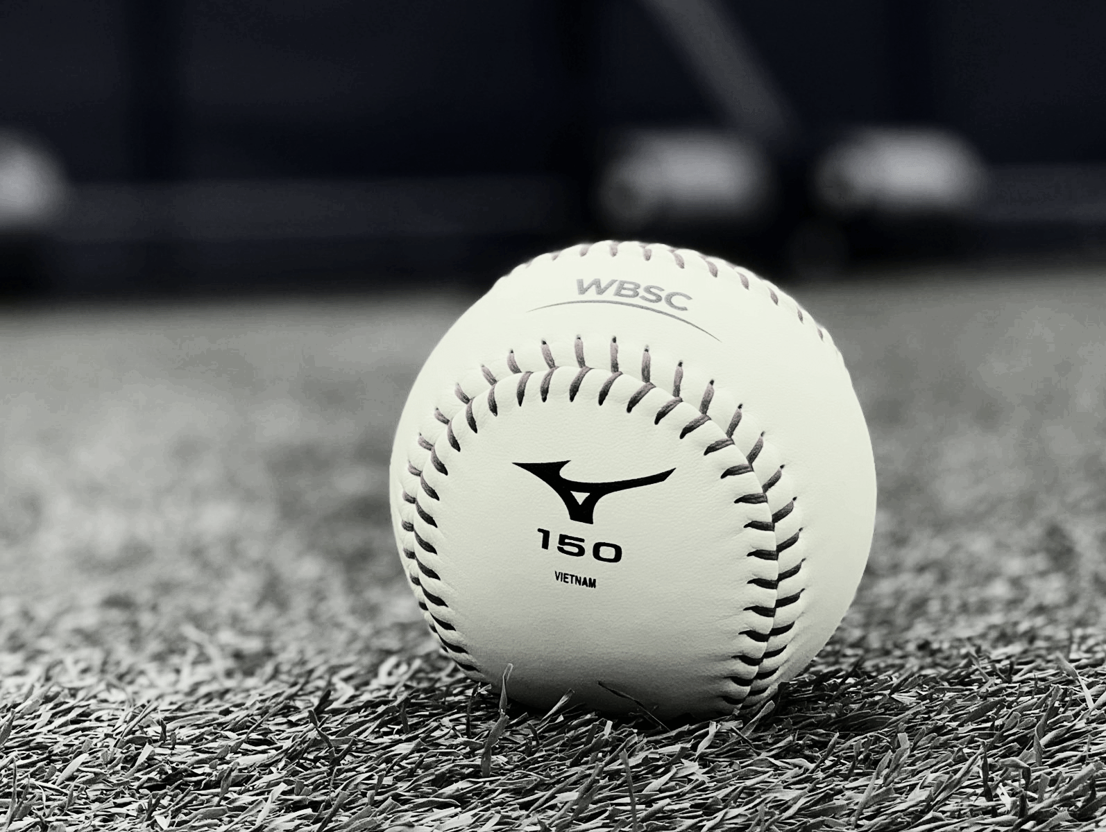 wbsc学院:垒球技术专员计划