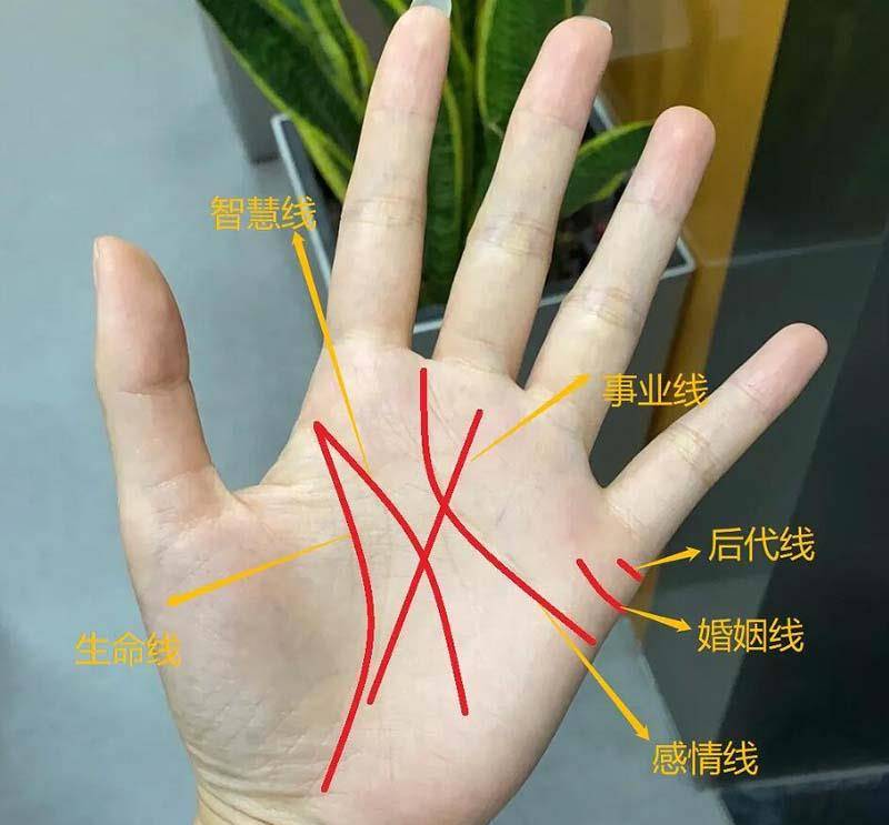 俗语"三角纹在手,富到九十九"中的三角纹指的是什么?