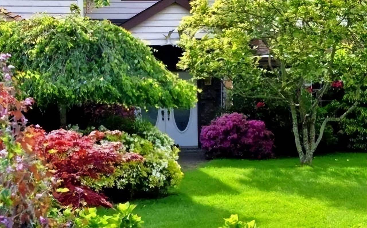 庭院種植大樹的禁忌_影響_樹木_住宅