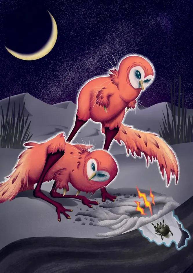 鸟面龙能在完全黑暗的环境中捕食_恐龙_鸟类_龙的