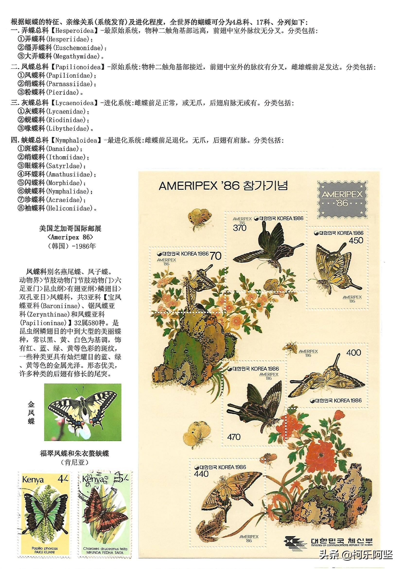 原创鳞翅目昆虫蝴蝶与蛾