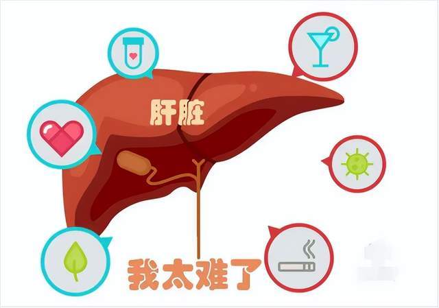 真的不要再经常熬夜长期下去你的肝脏会