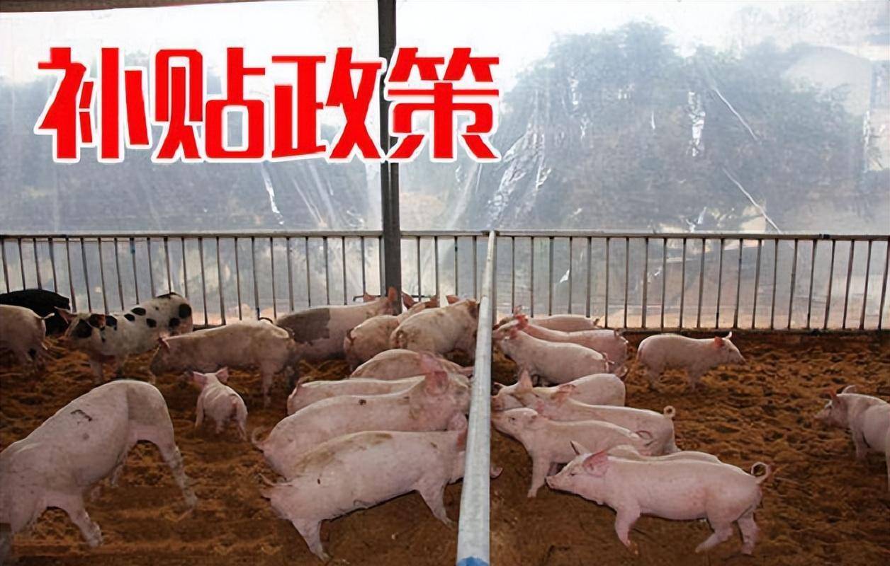 养殖政府扶持政策(养殖政府扶持政策是什么)