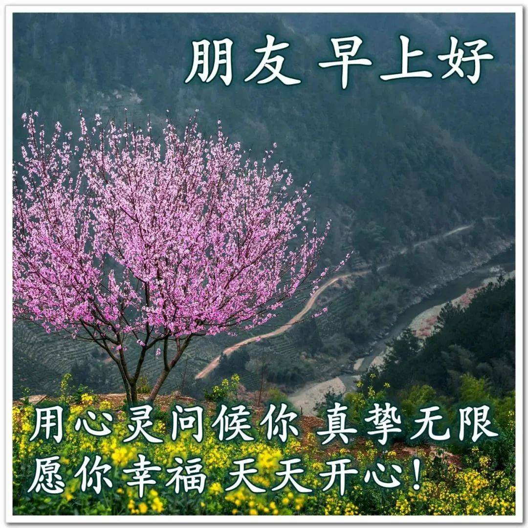 8张夏日最美风景早上好图片带字带祝福语 免打字聊天的清晨早安问候