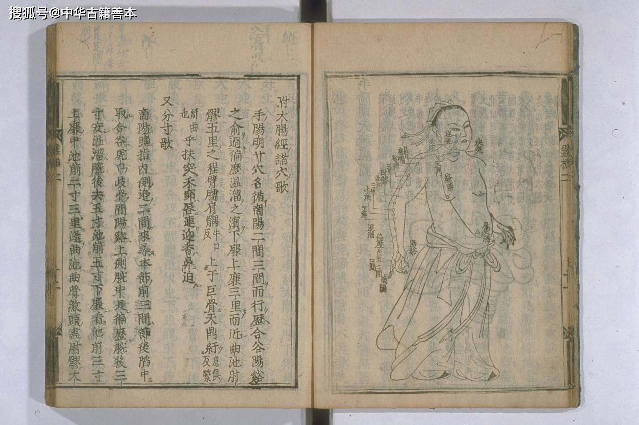 黄帝内经·灵枢·骨度_古诗文网 , 黄帝内经·灵枢·终始第九十_古文岛_原古诗文网 – FCWFLB