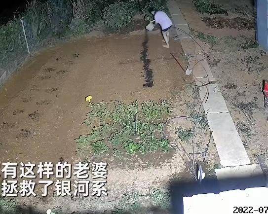 原创女子下班种地3小时到深夜，丈夫看监控心疼又骄傲：拯救了银河系