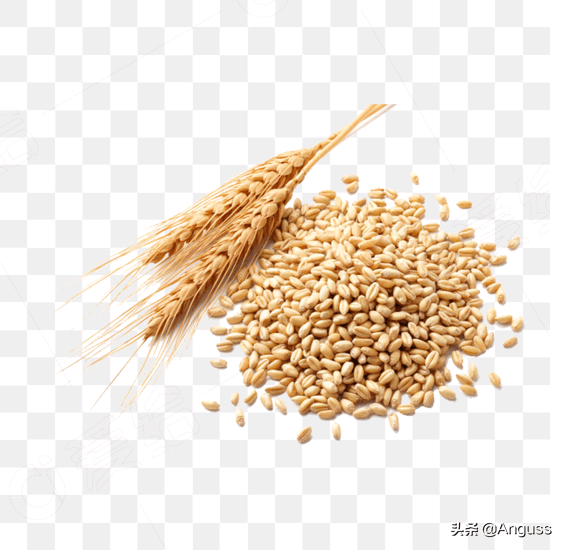 原创优质的农作物免抠元素素材推荐不容错过