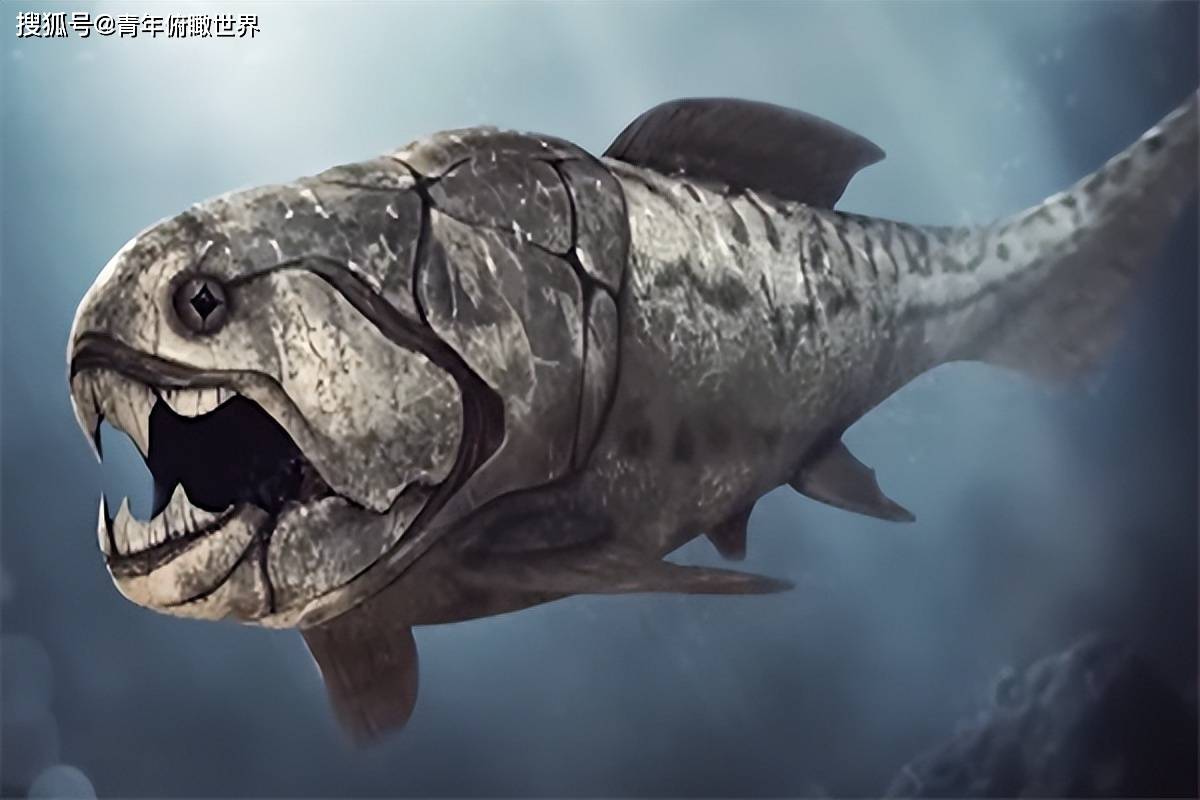 10个最致命的掠食者你很高兴已经灭绝_下颚_泰坦伊波拉_动物