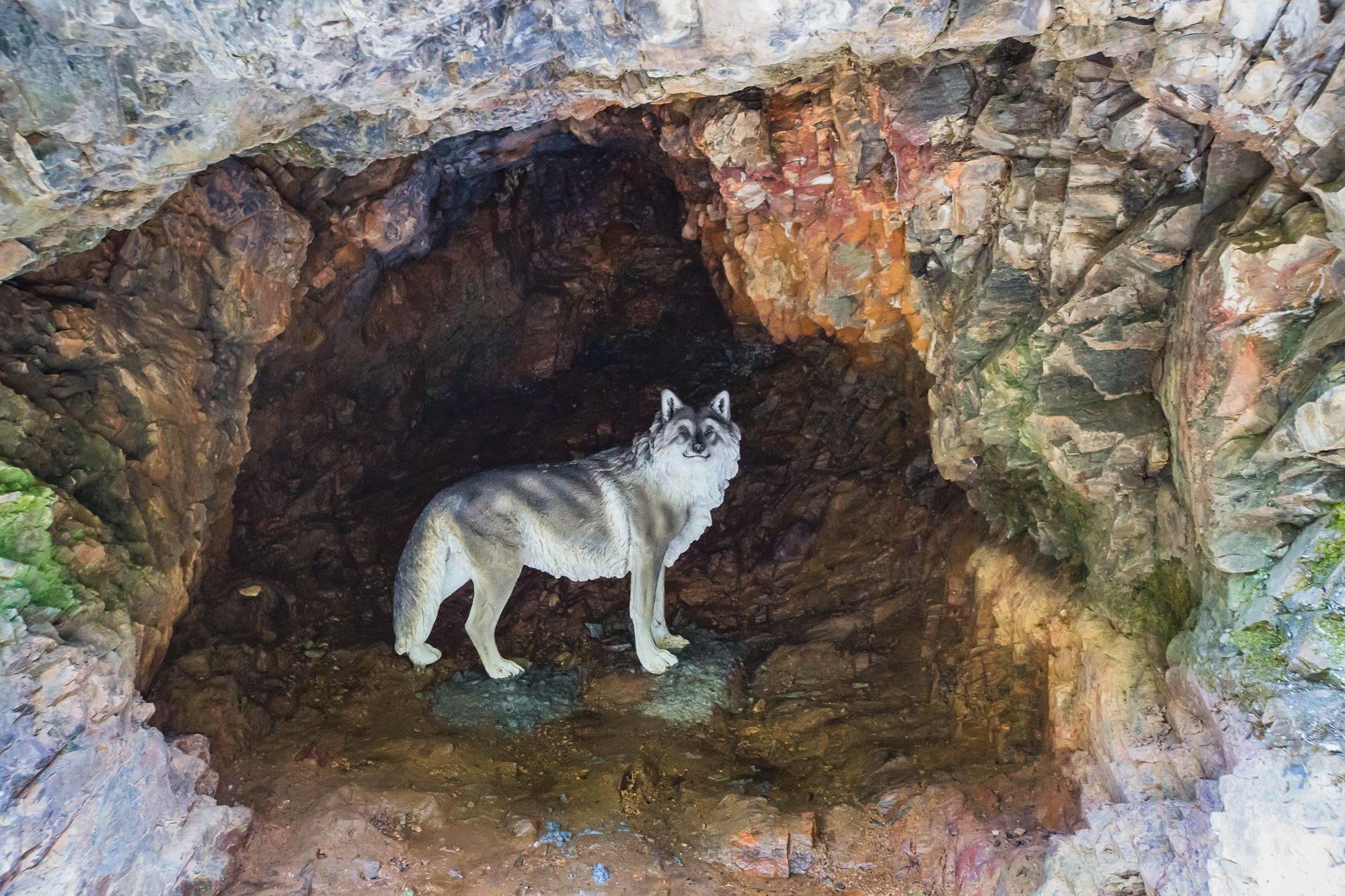 原创安徽六安有一座大别山狼谷充满神秘藏着惊险刺激的狼性体验
