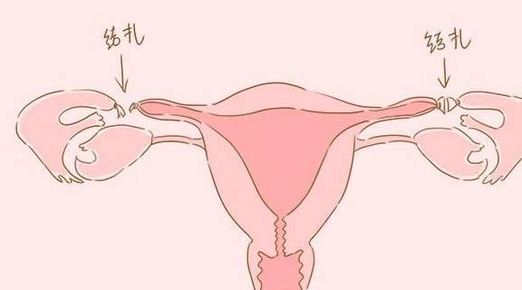 在中国这种大环境下,生育慢慢成为了一个很严重的问题,很多人对生育