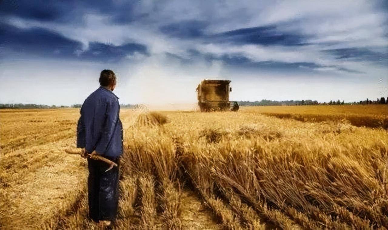 「新诗采撷」张金虎 | 农民味(微诗五首)_父亲_残留_梦中