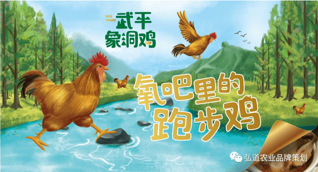 跑,跑,跑,氧吧里的跑步鸡|弘道公司·武平县象洞鸡区域产业品牌案例