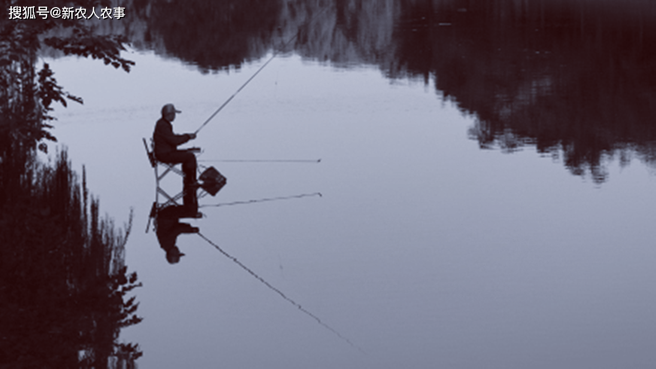 梦境之河,解密梦见别人在河里钓鱼,我帮着取下钓到的鱼的深层含义 梦境之河,解密梦见别人在河里钓鱼,我帮着取下钓到的鱼的深层含义