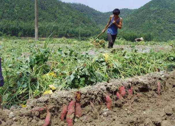 原創記憶的承載小時候在農村的生活這些你經歷過嗎