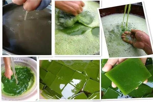 黄荆叶凉粉制作方法图片