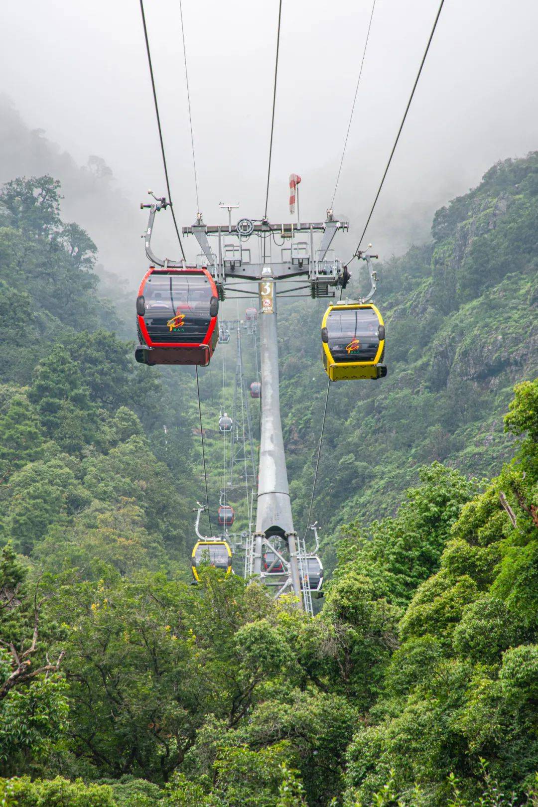 大理暑期徒步追花之旅|登宾川鸡足山,遇见高山杜鹃花!