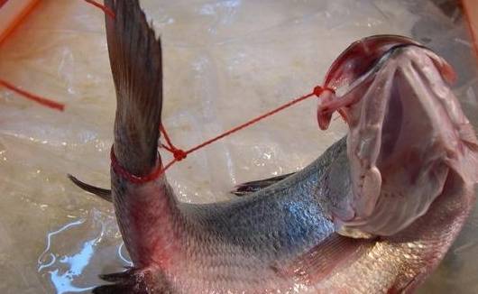 台湾传统市场里,部分鱼摊会贩卖「活体弓鱼」,也就是用尼龙线将金目鲈